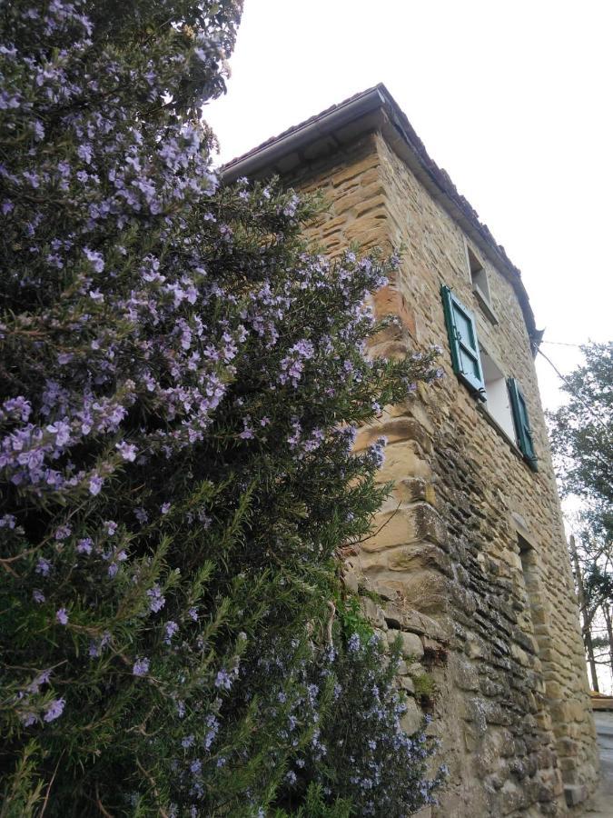 Agriturismo Il Regno Del Marrone Castel del Rio Eksteriør billede